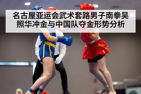 wushu martial arts competition